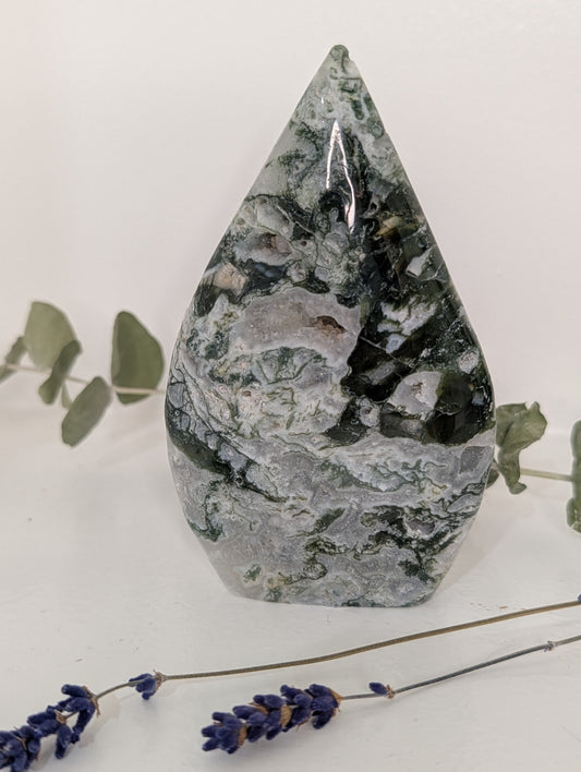 Moss Agate Teardrop Freeform