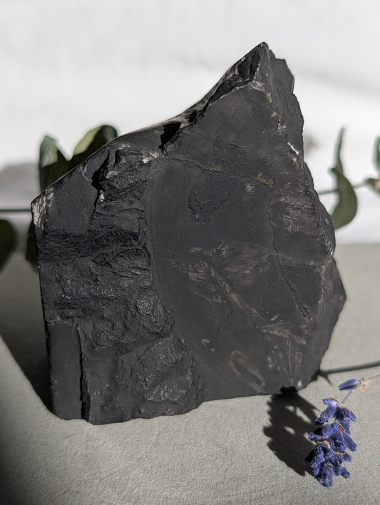 Chrysanthemum Stone | Black Matrix