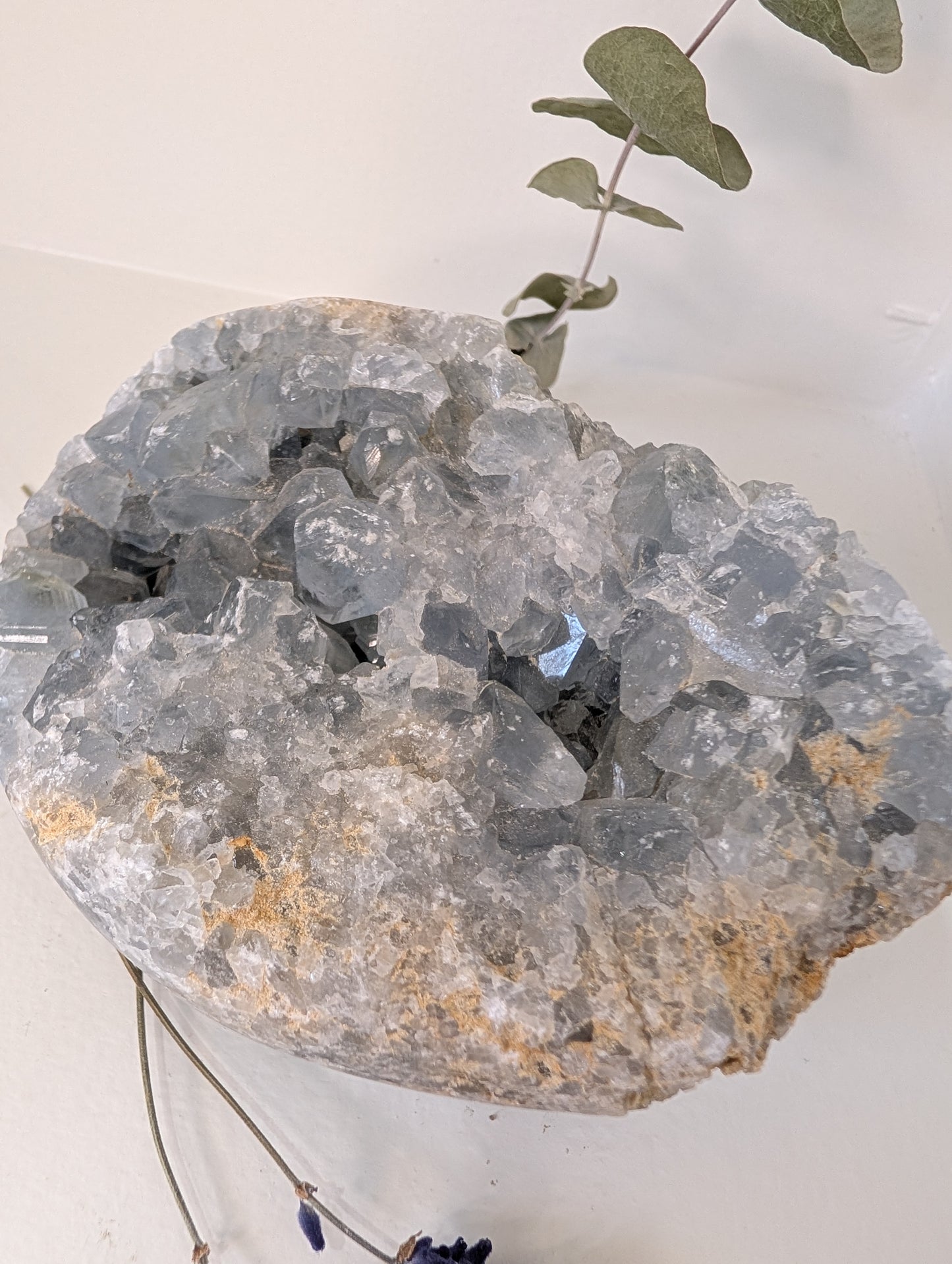 Large Celestite Statement Cluster