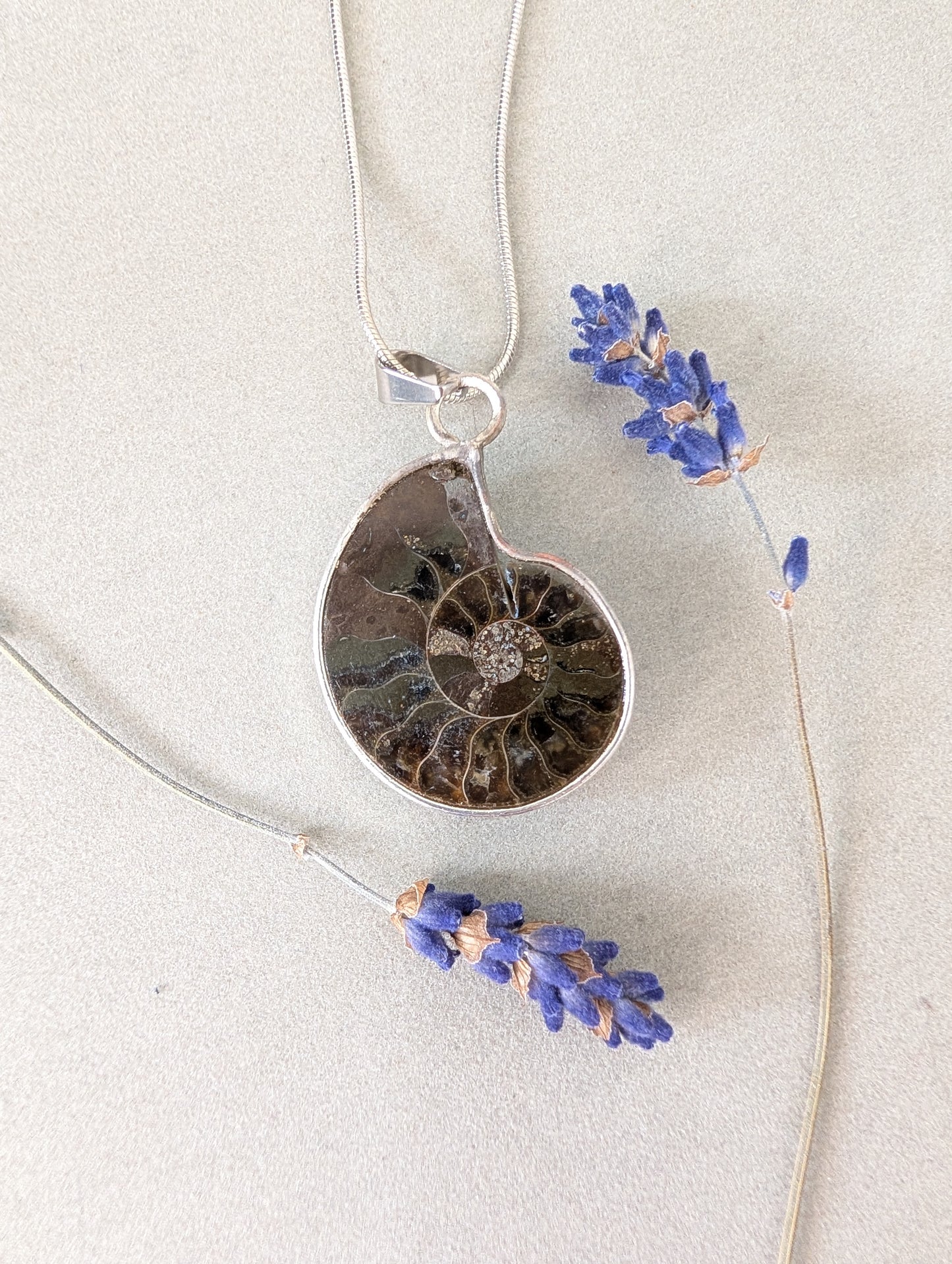 Ammonite Fossil Pendant | Sterling Silver Bezel | Stainless Steel Chain