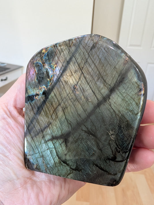 Labradorite Free Form | Golden Green Flash with Blue & Violet