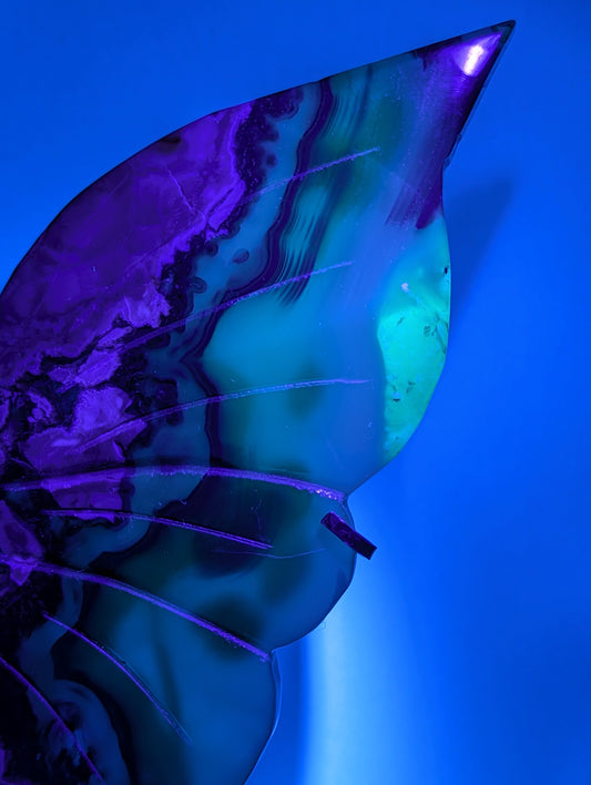 Statement Volcano Agate Butterfly Wings