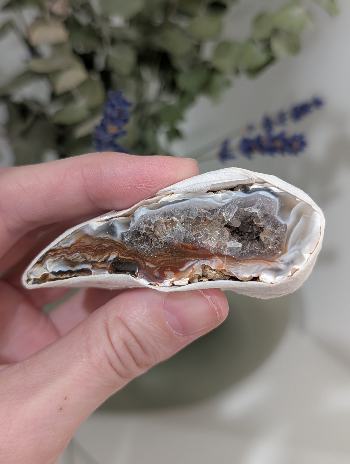 Druzy Agate Geode