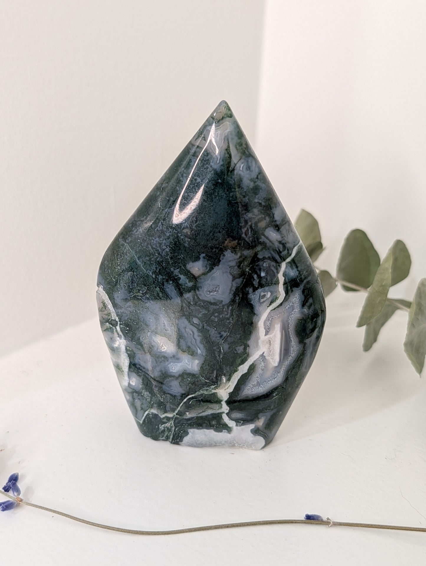 Moss Agate Teardrop Freeform
