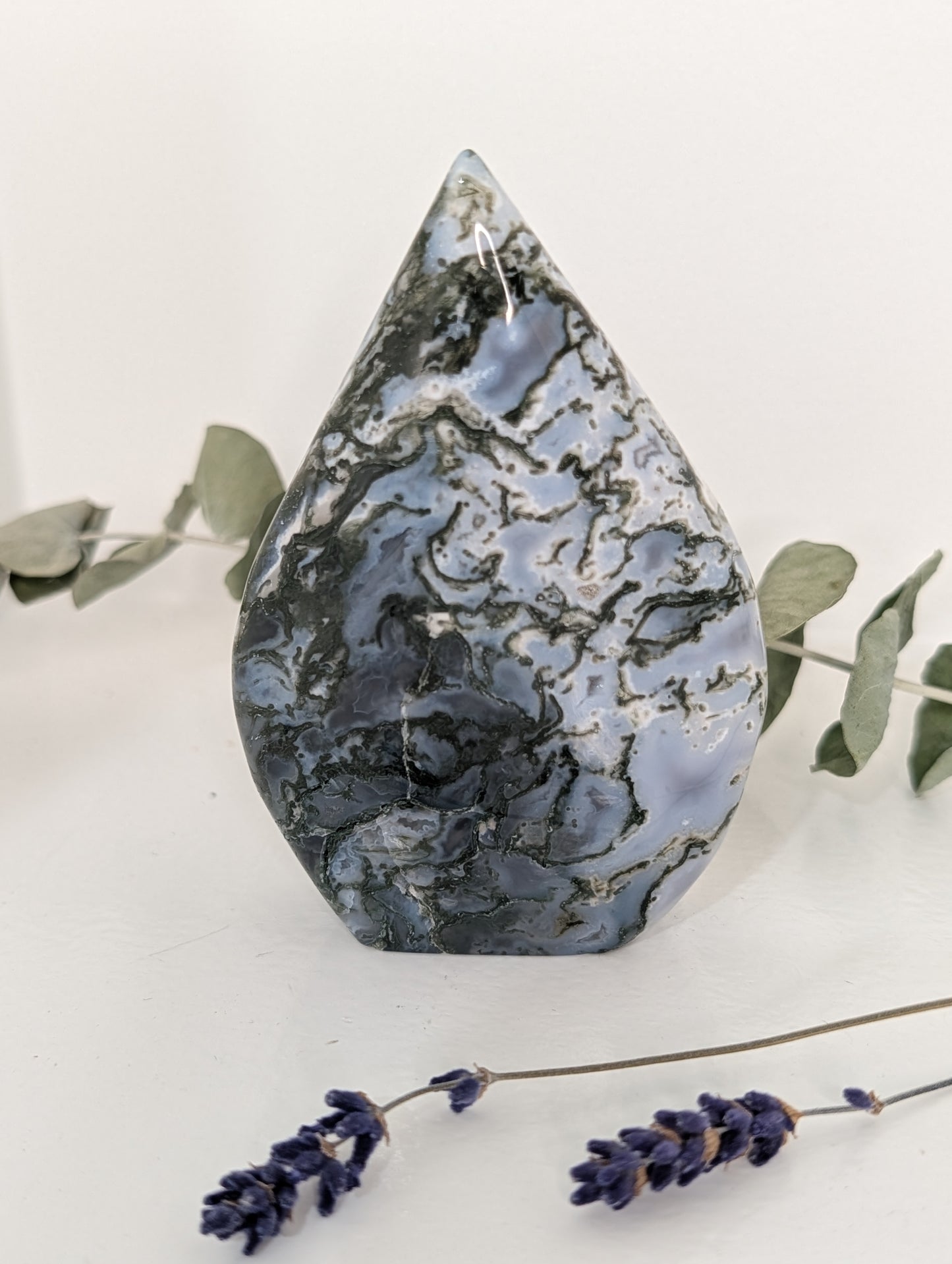 Moss Agate Teardrop Freeform
