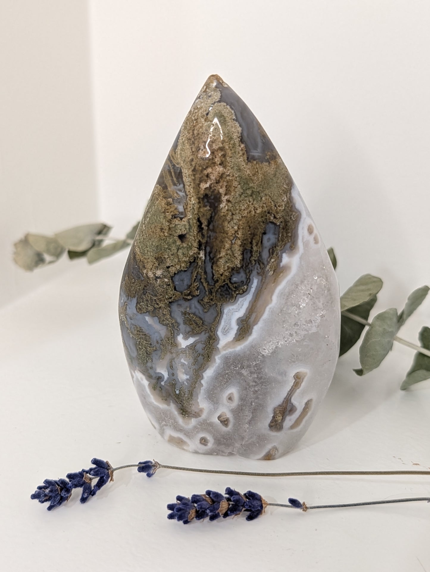 Moss Agate Teardrop Freeform