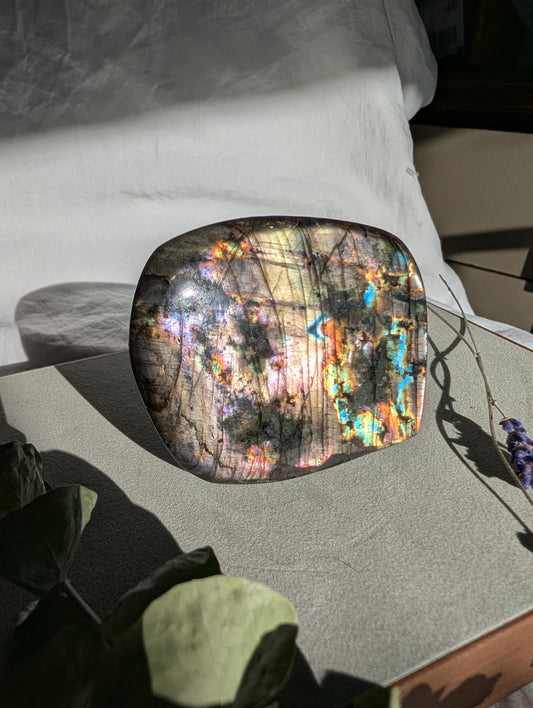 Labradorite Free Form