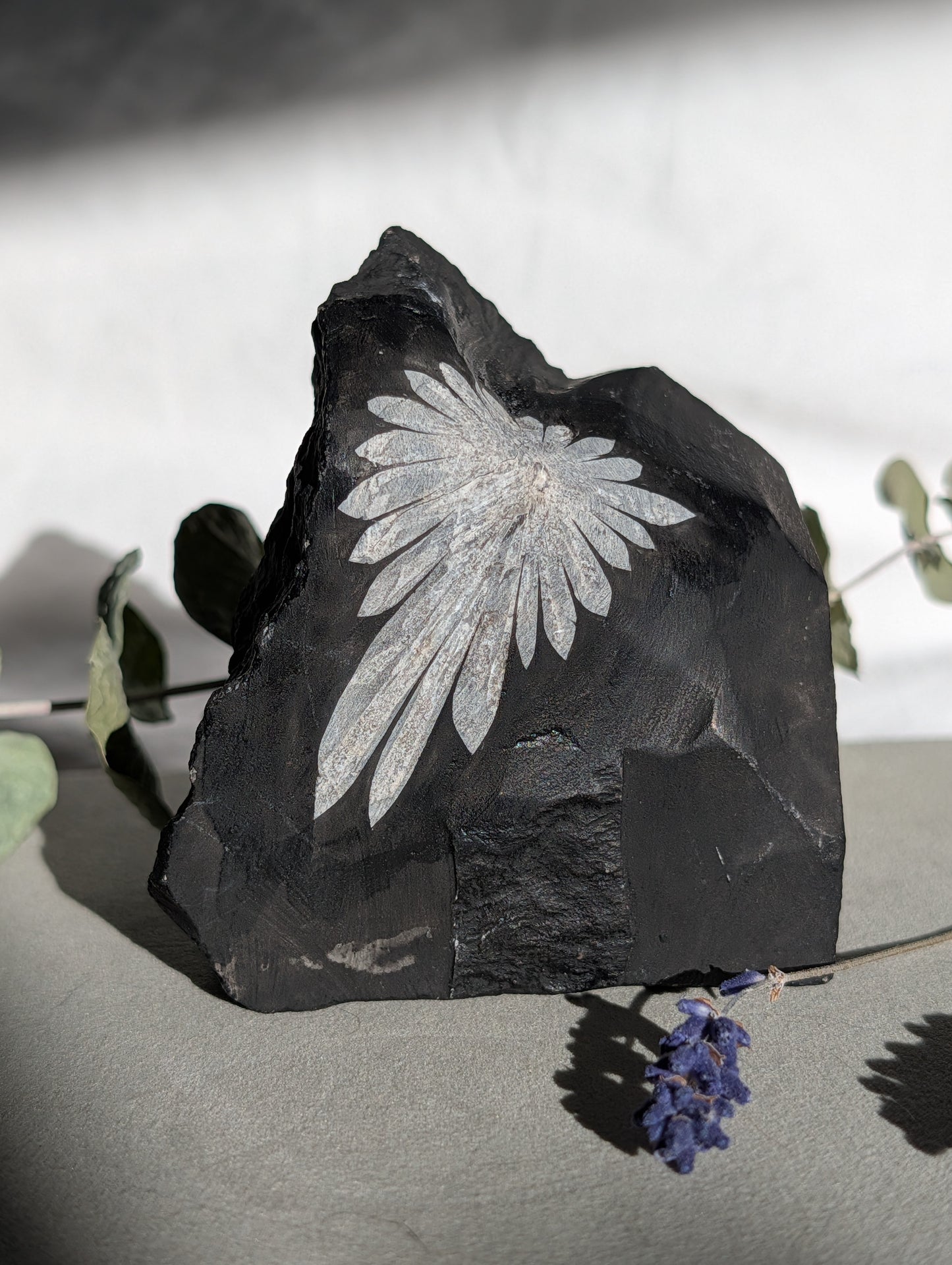 Chrysanthemum Stone | Black Matrix