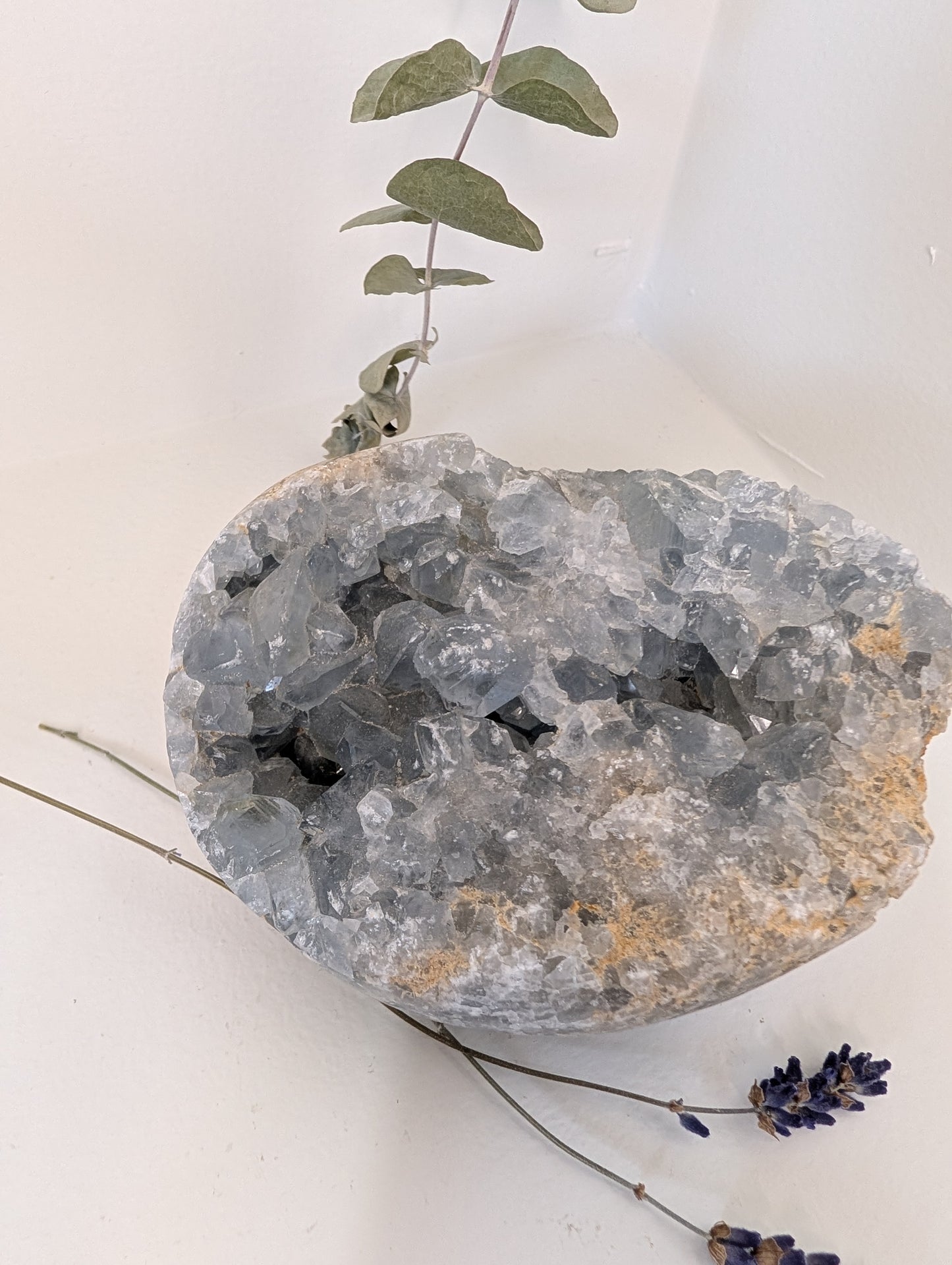 Large Celestite Statement Cluster