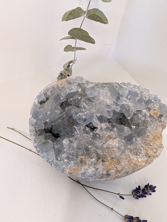 Large Celestite Statement Cluster