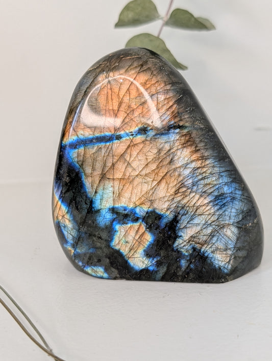 Labradorite Free Form