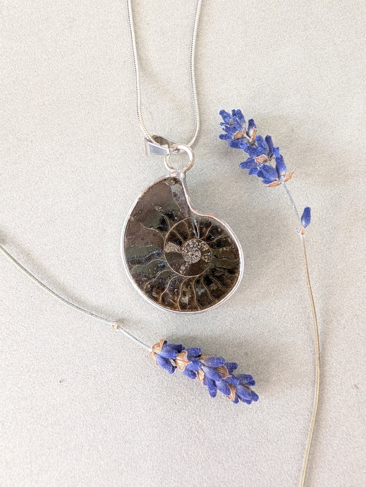 Ammonite Fossil Pendant | Sterling Silver Bezel | Stainless Steel Chain