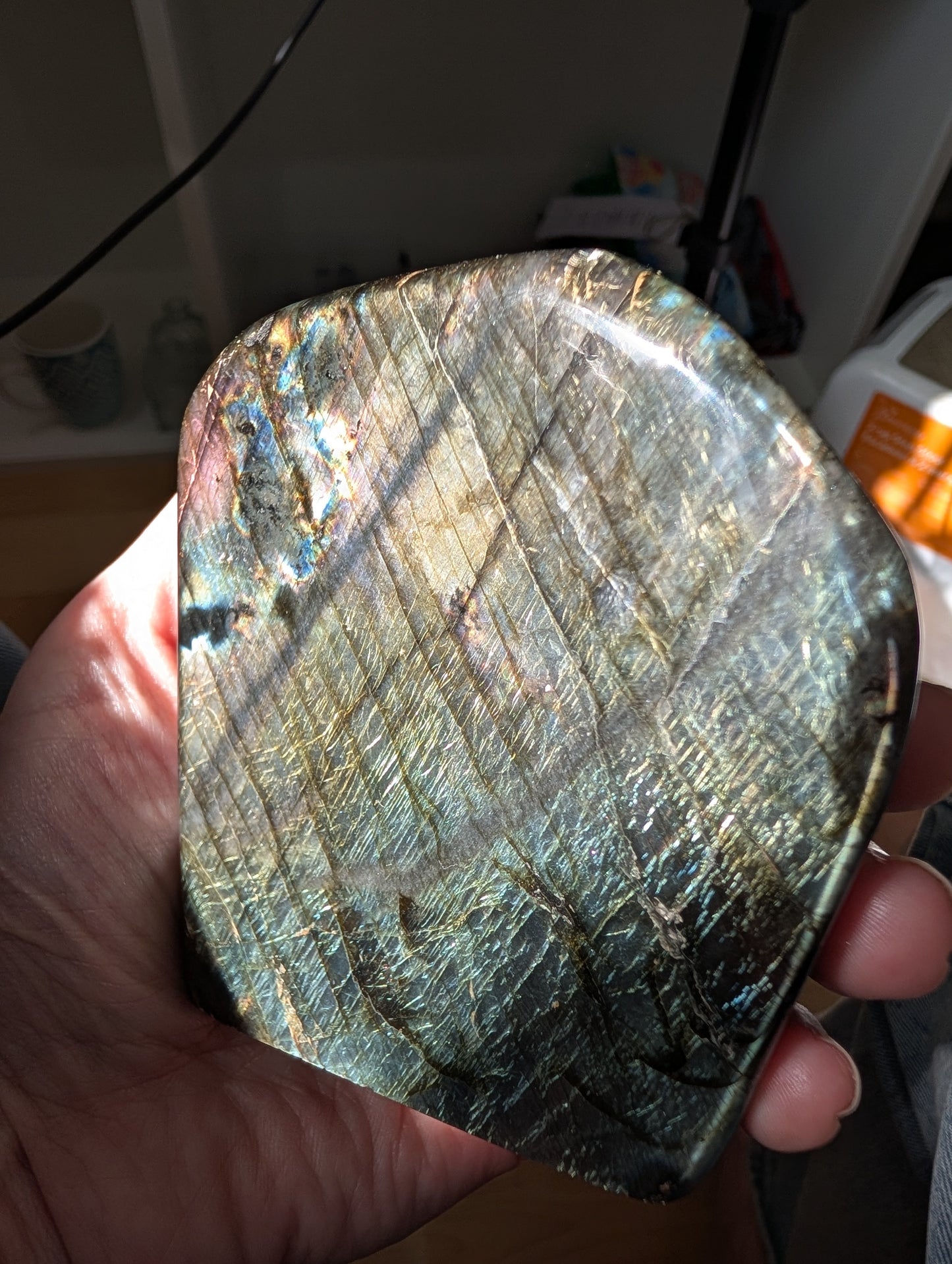 Labradorite Free Form | Golden Green Flash with Blue & Violet