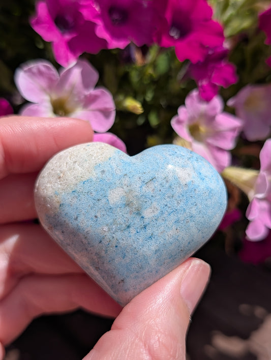 Troilite Heart