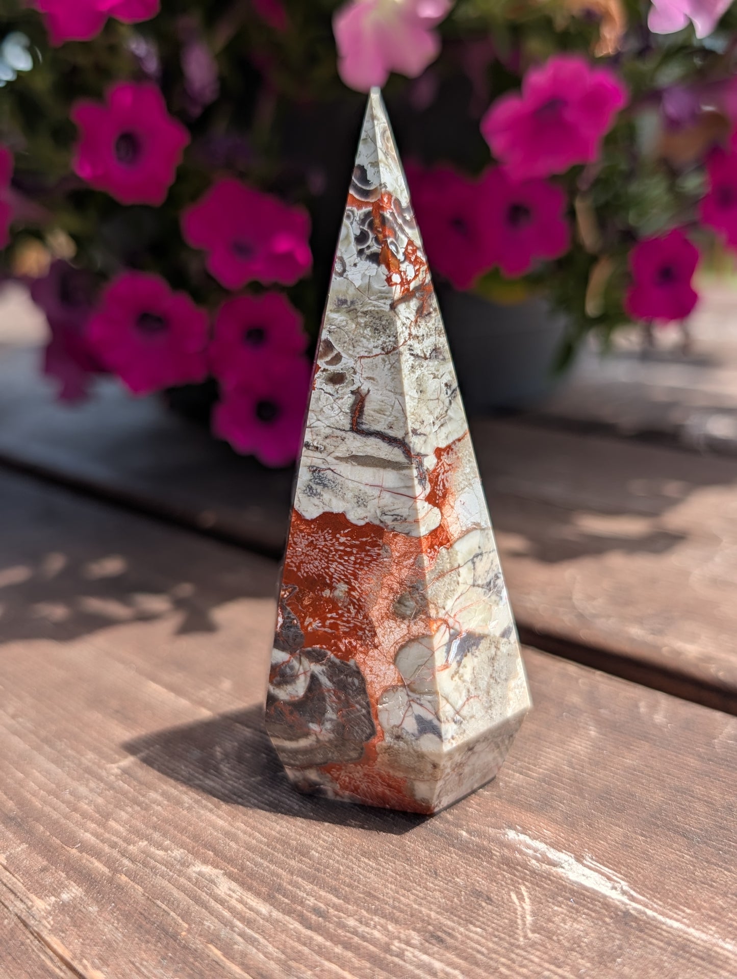 Money Agate Point