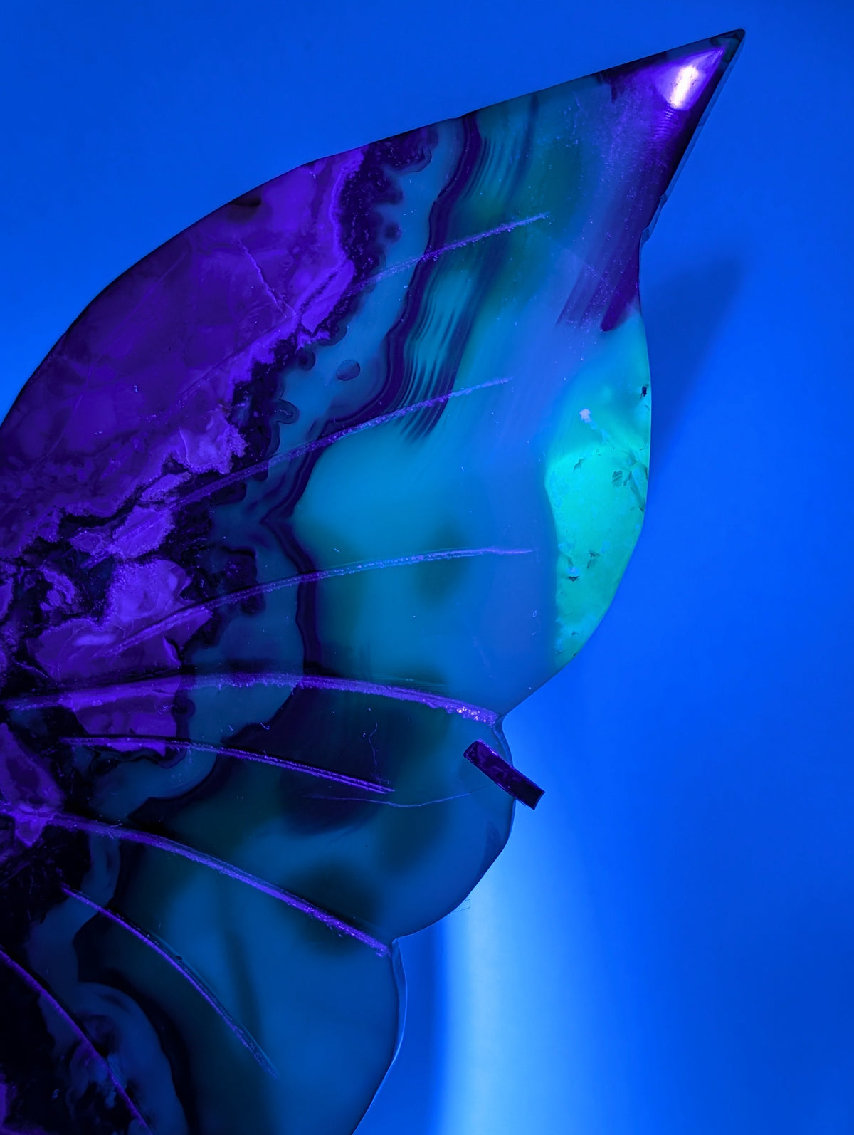 Statement Volcano Agate Butterfly Wings