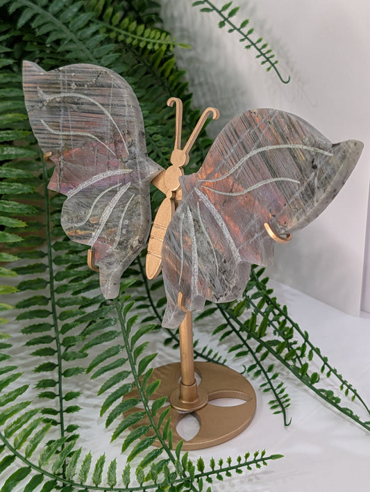Labradorite Butterfly Wings on Gold Stand