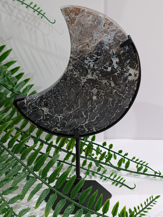 Palm Root Moon on Black Stand